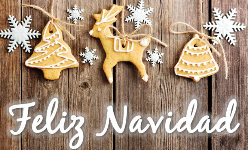 ¡Feliz Navidad y Año Nuevo!